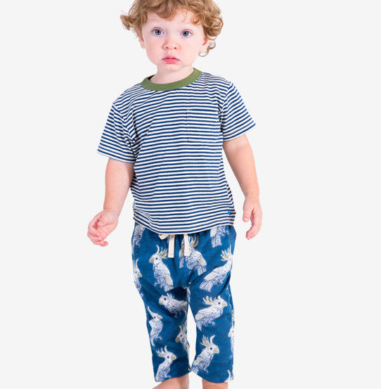 James Knit Pant
